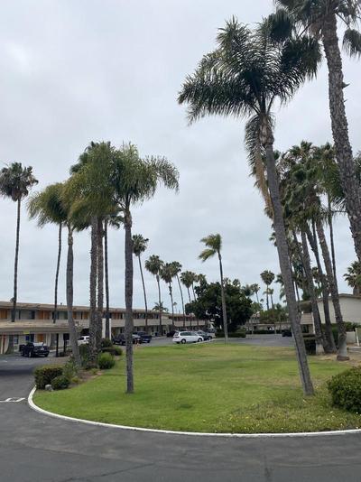 Hotel Palmeras