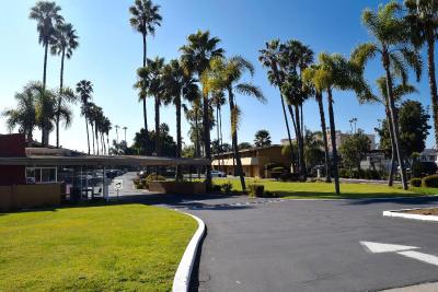 Hotel Palmeras