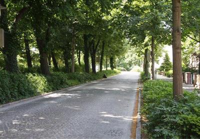 Parkhotel Senftenberg