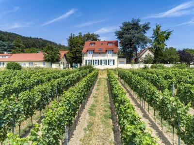 Halbersbacher Hotel Annaberg