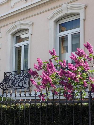 Hotel Beethoven