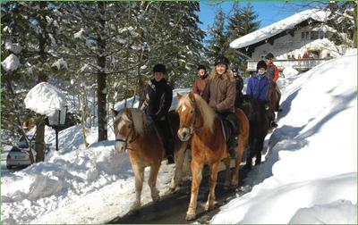 Hotel Garni Haus Alpine