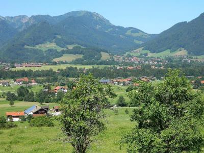 Hotel Garni Haus Alpine