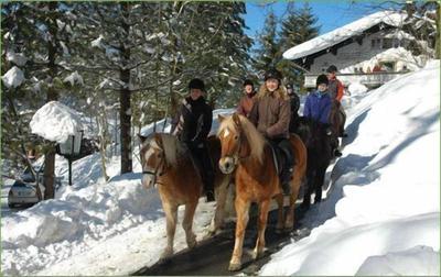 Hotel Garni Haus Alpine