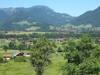 Hotel Garni Haus Alpine