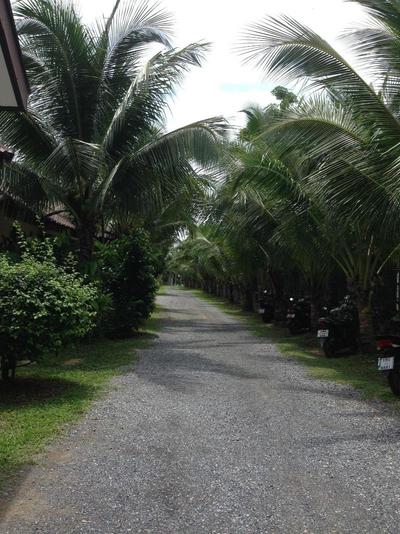 Naya Bungalow