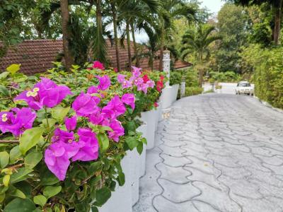 On The Hill Karon Resort