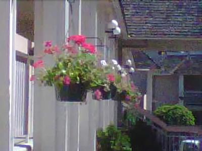 Caravelle Inn Suites