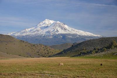 Inn At Mount Shasta