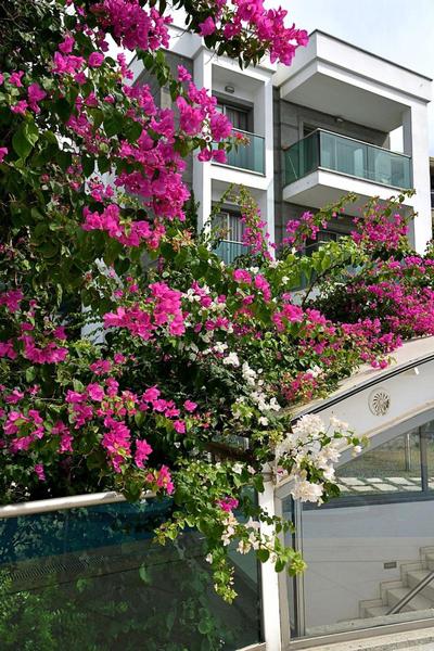 Royal Palm Residence