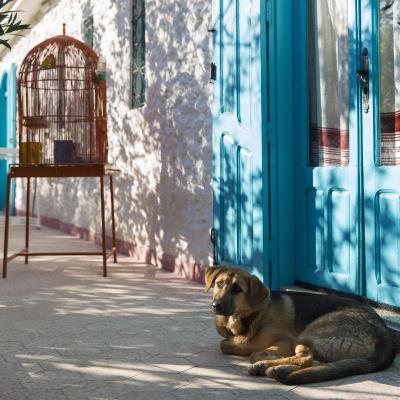 Riad Tamayourt Ocean View