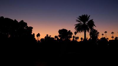Riad Nafis