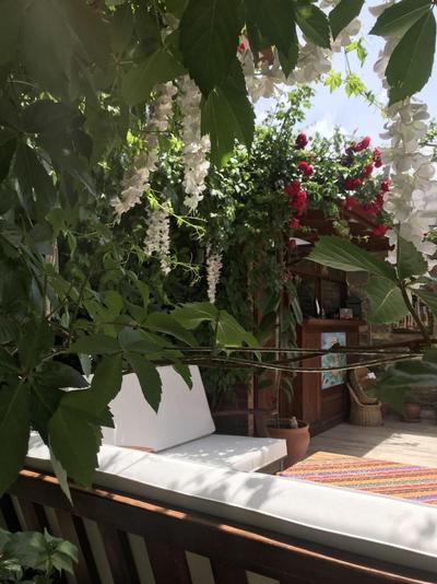 Hotel Mary S House