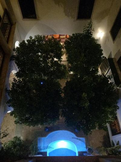Riad Dar Dialkoum
