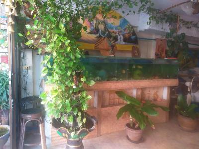 Artem S Guesthouse