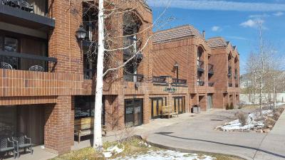 Raintree S Park Plaza Park City