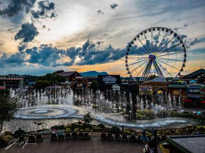 Margaritaville Island Hotel