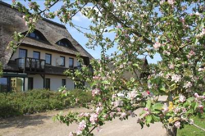 Kur- und Landhotel Borstel-Treff