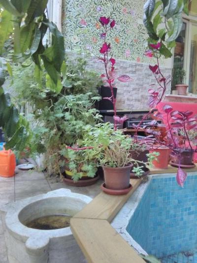 Lotus Garden Hostel