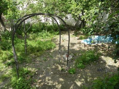 Lotus Garden Hostel