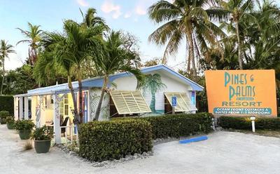 Pines & Palms Resort