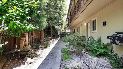 The Zen Hotel