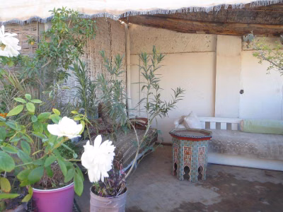 Riad Maizie