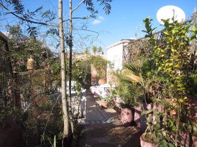 Riad Maizie