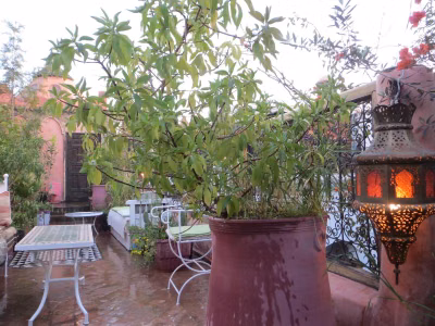 Riad Maizie