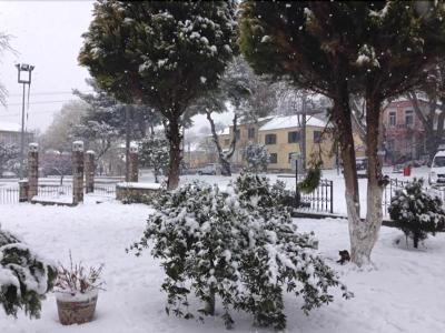 Elaia Hotel