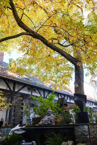 RheinRiver Guesthouse - Boutique Art Hotel am Rhei