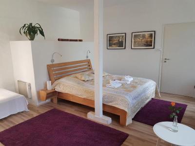RheinRiver Guesthouse - Boutique Art Hotel am Rhei