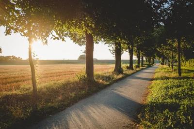 Zum Vater Rhein