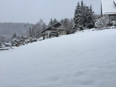B&B Am Knittenberg - Near Skiliftkarussell Winterb