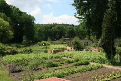 Pension & Gasthaus Kattenstieg