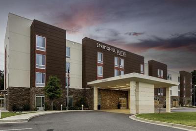 SpringHill Suites by Marriott Atlanta Alpharetta/R