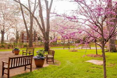 The University Of Georgia Center For Continuing Ed