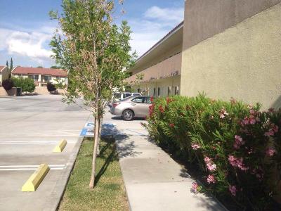 America Inn & Suites