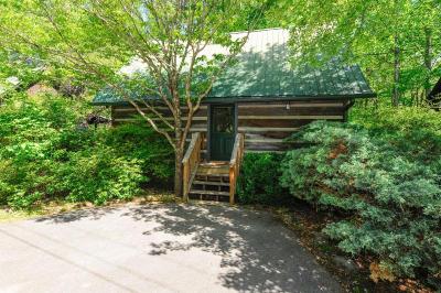 Dancing Bear Lodge