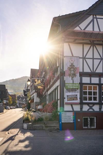 Hotel Engel