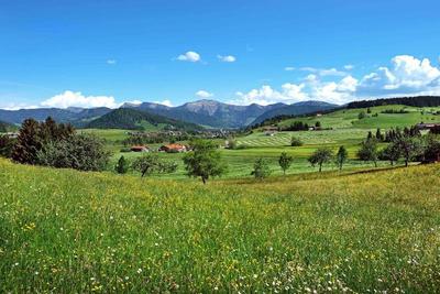Allgäu Sonne