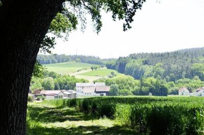 Hotel-Gasthof Am Forsthof