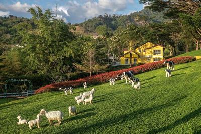 Phukaew Resort & Adventure Park