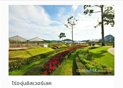 Sea Hill Boutique Residence