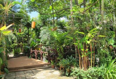 Huay Nam Rin Resort