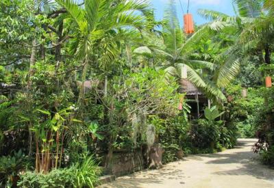 Huay Nam Rin Resort