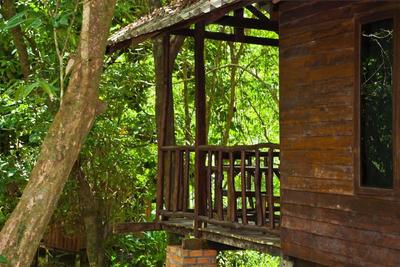 Khao Sok Riverside Cottage