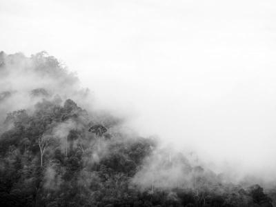 Sirinati Khao Kho National Park - Adult Only