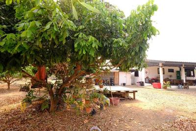 Mini Guesthouse