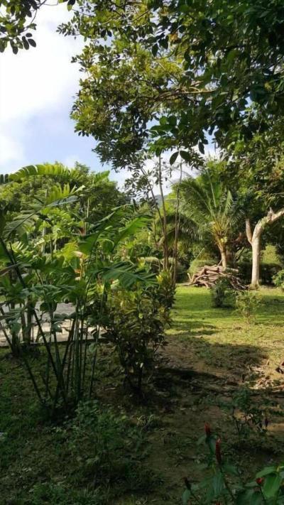 The Royal Bamboo Lodge